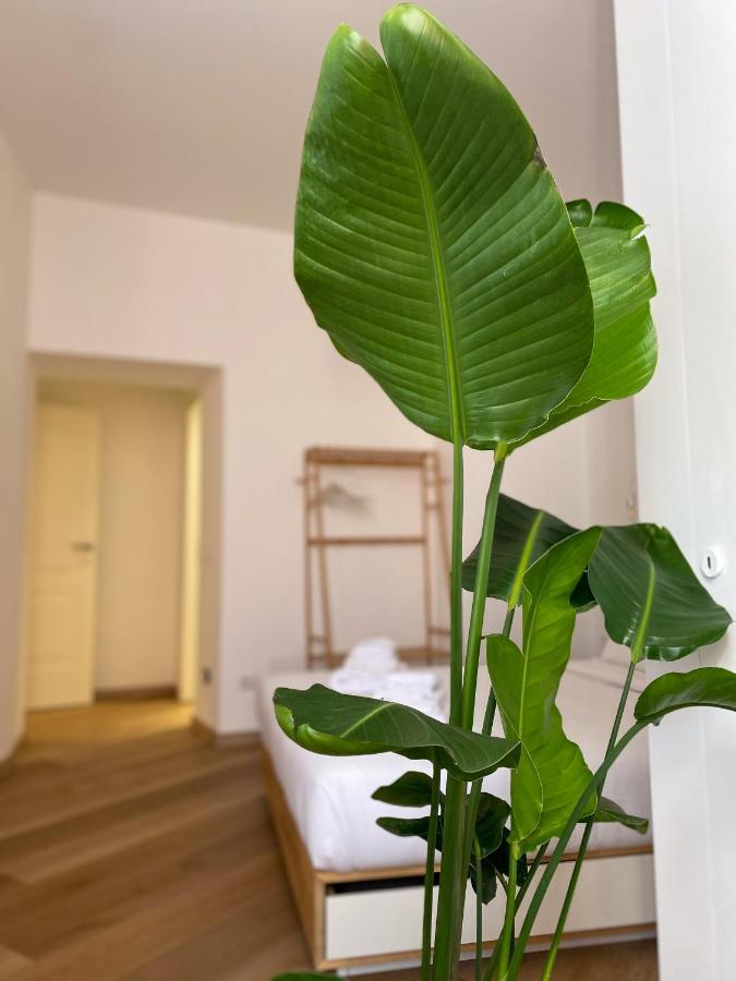 Boho Suites - Rome Colosseum Zewnętrze zdjęcie